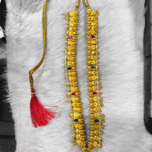 Tradition Kolhapuri 26 Panadi Saaj (55)